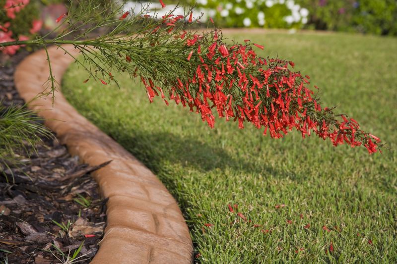 landscape edging services