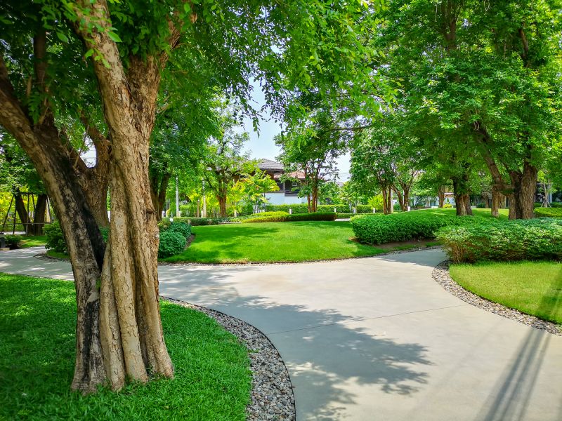 landscape edging services