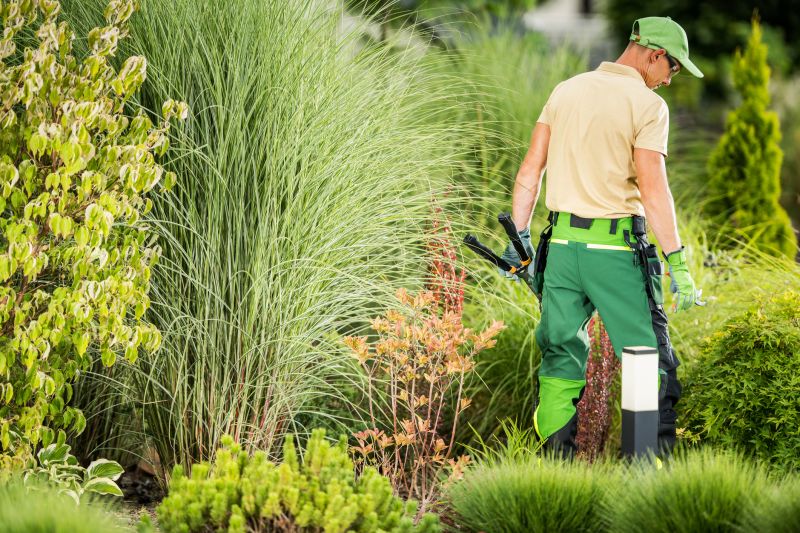 Landscape Edging Services