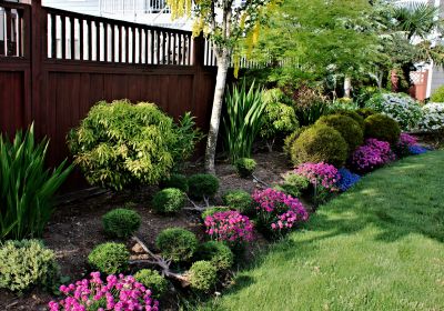 Landscape Edging with Mulch Bed
